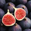 Fig