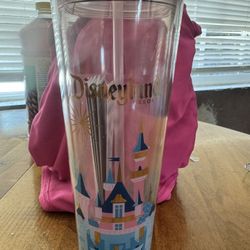 Disneyland Cup Cinderella 