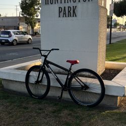 Unknown 29er