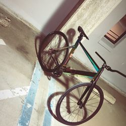 Throne Fixie Bike 