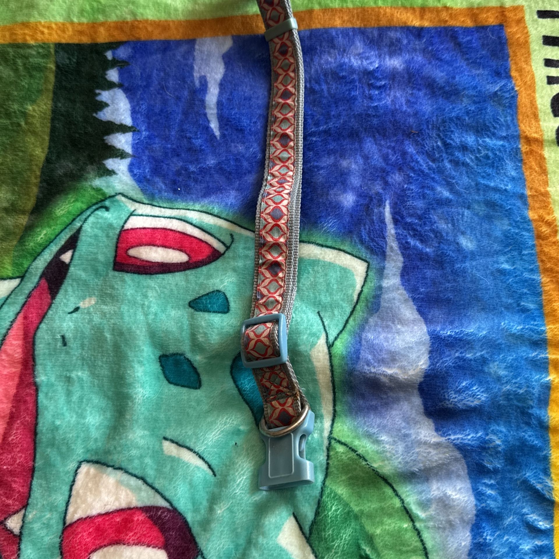 Adjustable Clip On Dog Collar