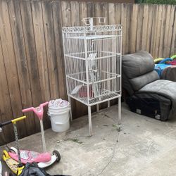 Bird Cage 