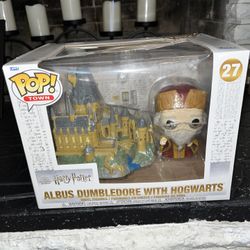ALBUS DUMBLEDORE WITH HOGWARTS