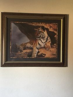 Safari Picture