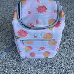 June shine cooler backpack