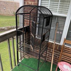 Bird Cage