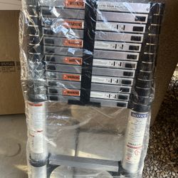12.5 Feet Telescopic Ladder