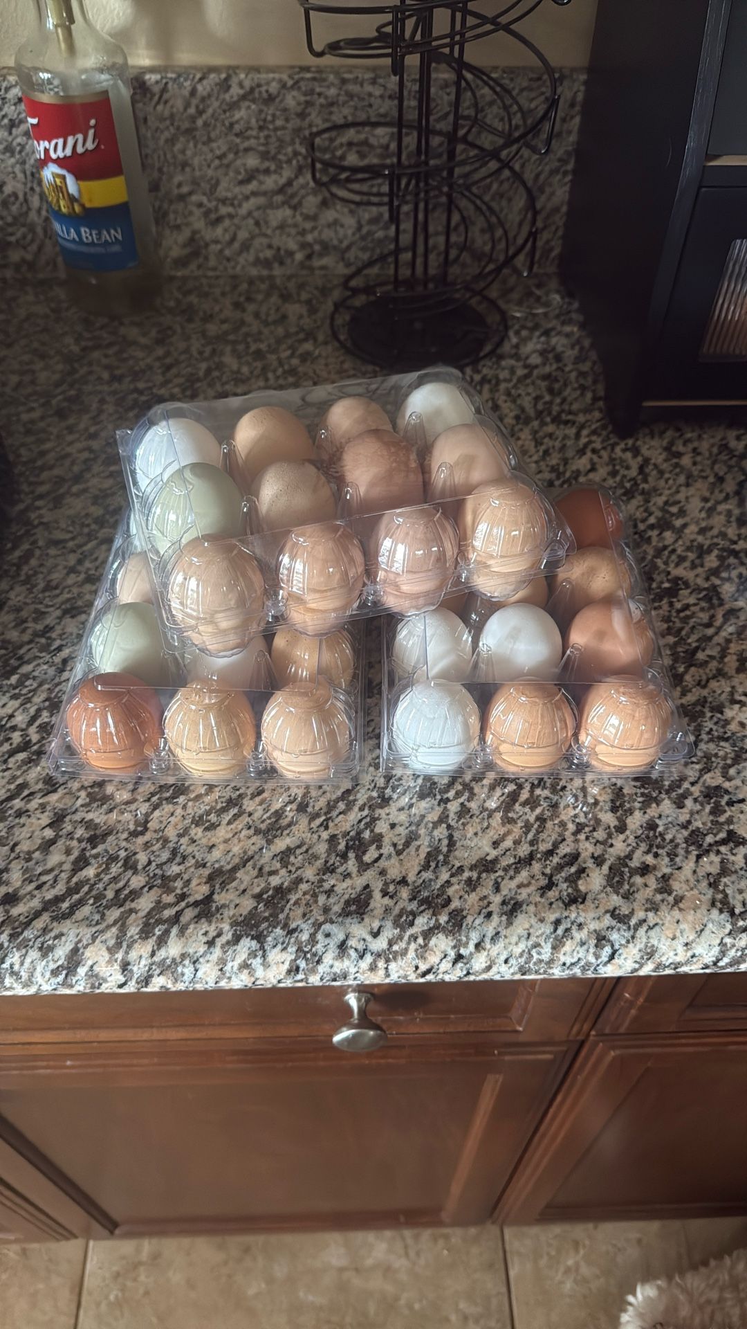 Fresh Eggs