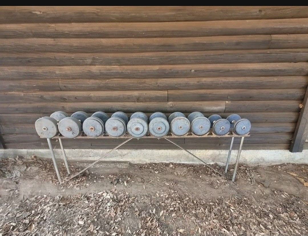 440lbs Prostyle Dumbbells 25-60lbs