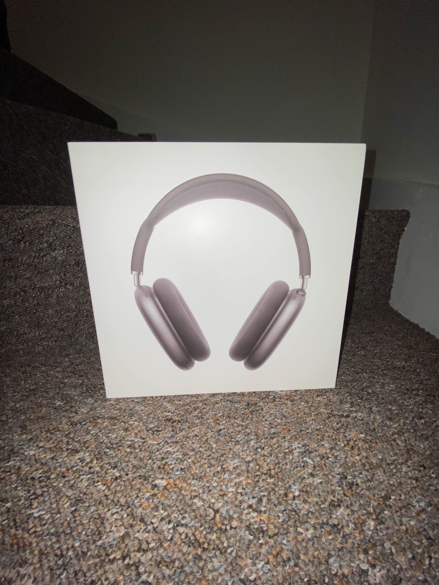 Airpod Spaces Maxs