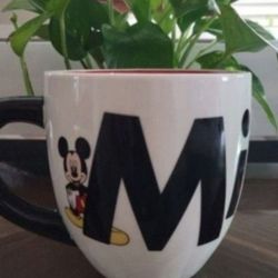 Mickey Mouse Disney Park Mug (New)