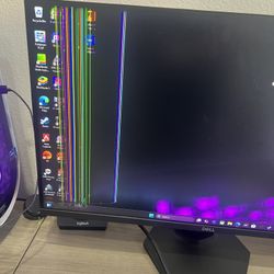 Damaged Gaming Monitor 