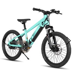 Glidex | 20 Inch Electric Bike for Kids Teens