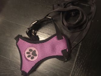 XXS dog Harness