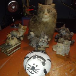 15 pcs. Cat Collection