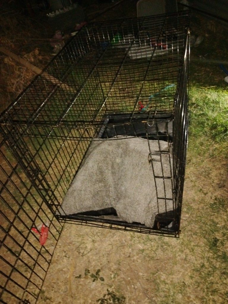 Dog Crate With Pillow Pad