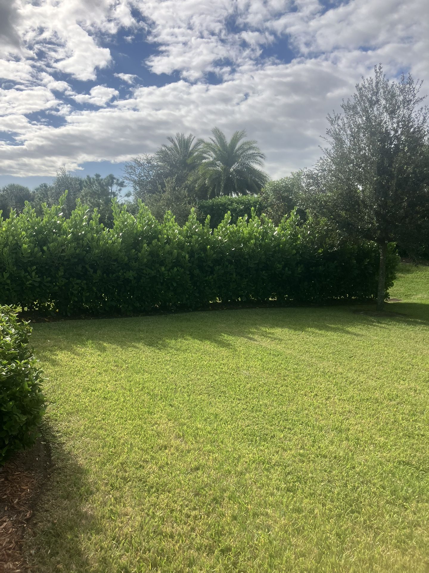 Clusias perfect for privacy