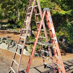 Werner Ladders 8' And 10'