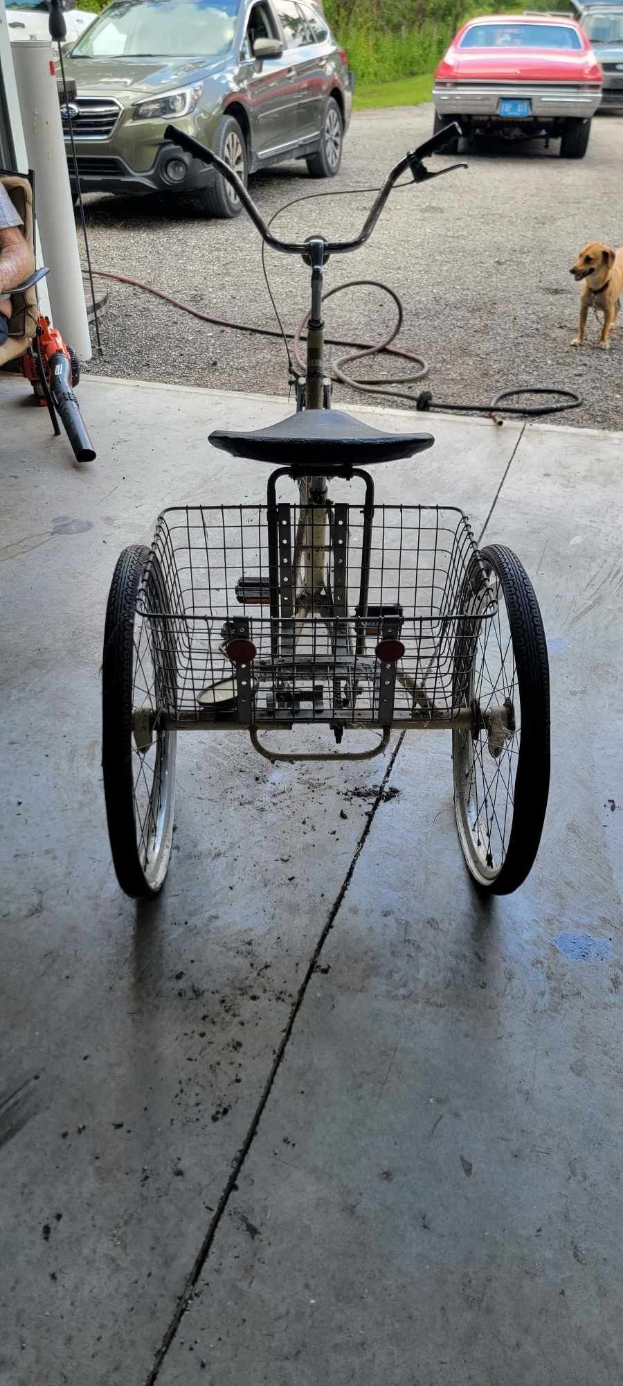 Miami Sun 3 Wheel Bike for Sale in Vlg Wellingtn, FL OfferUp