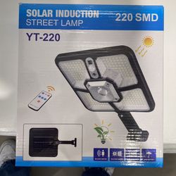 Solar Induction Lamp