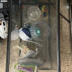 Hamster / Rodent Enclosure And Supplies