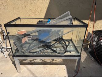 Fish Tank
