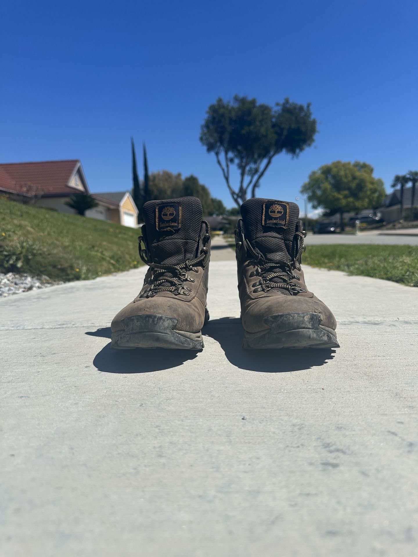 Timberland Mt. Maddsen Mid Waterproof Hiking Boots - Men's