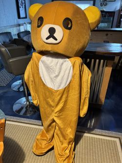 Bear Suit/Costum