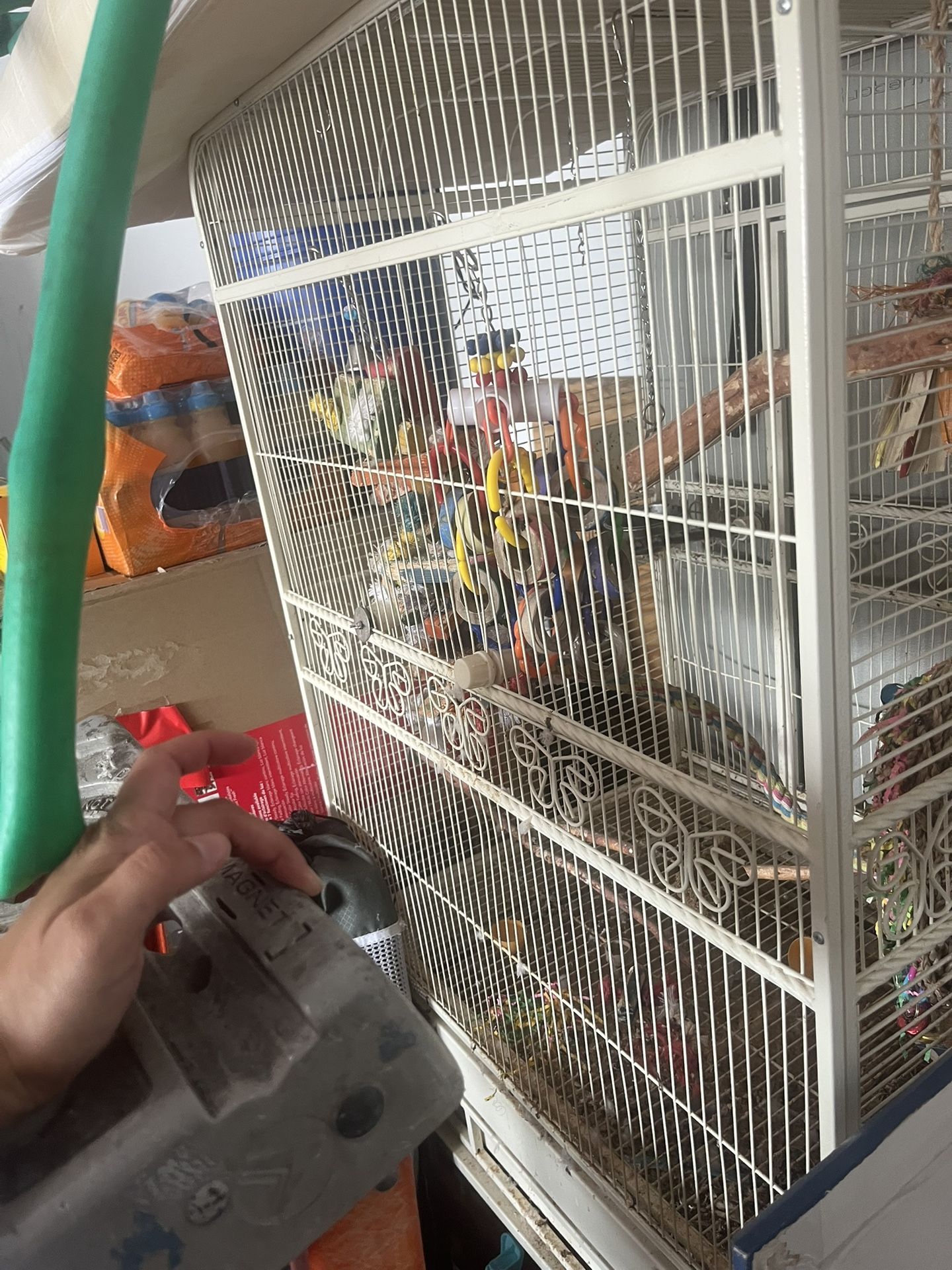 Large Bird Cage