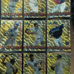 1994 Pinnacle Baseball Cards.