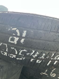 225 40 19