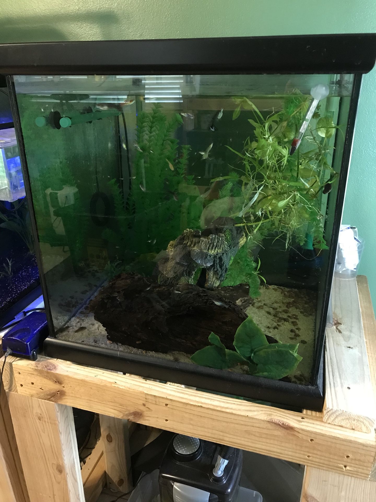 60 gallon cube aquarium tank 24x24x24