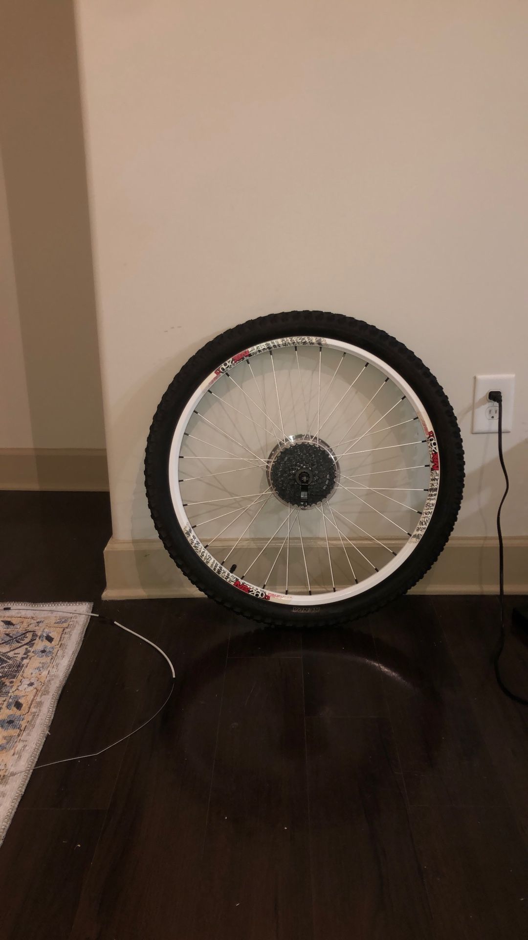 Back Bike Tire