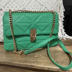ALDO Purse