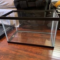 10 Gallon Aquarium 