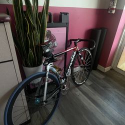 Cervelo P3C (Testing waters 🌊)