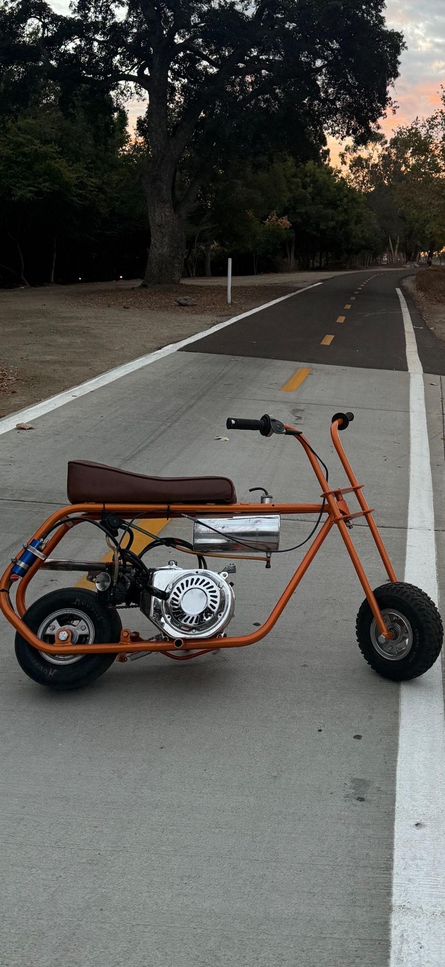 Bam Minibike