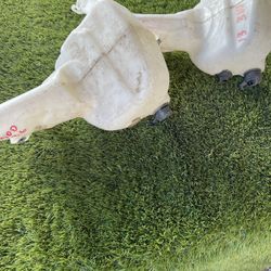 Dodge windshield washer fluid reservoirs