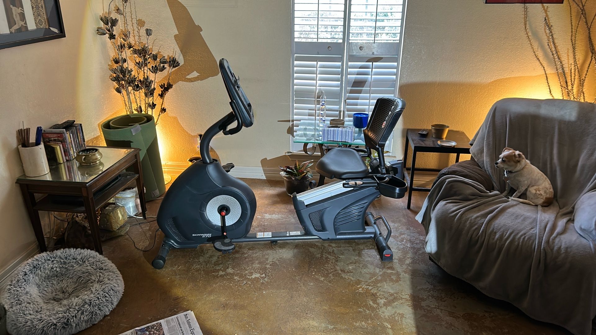Seated Exercise Bike