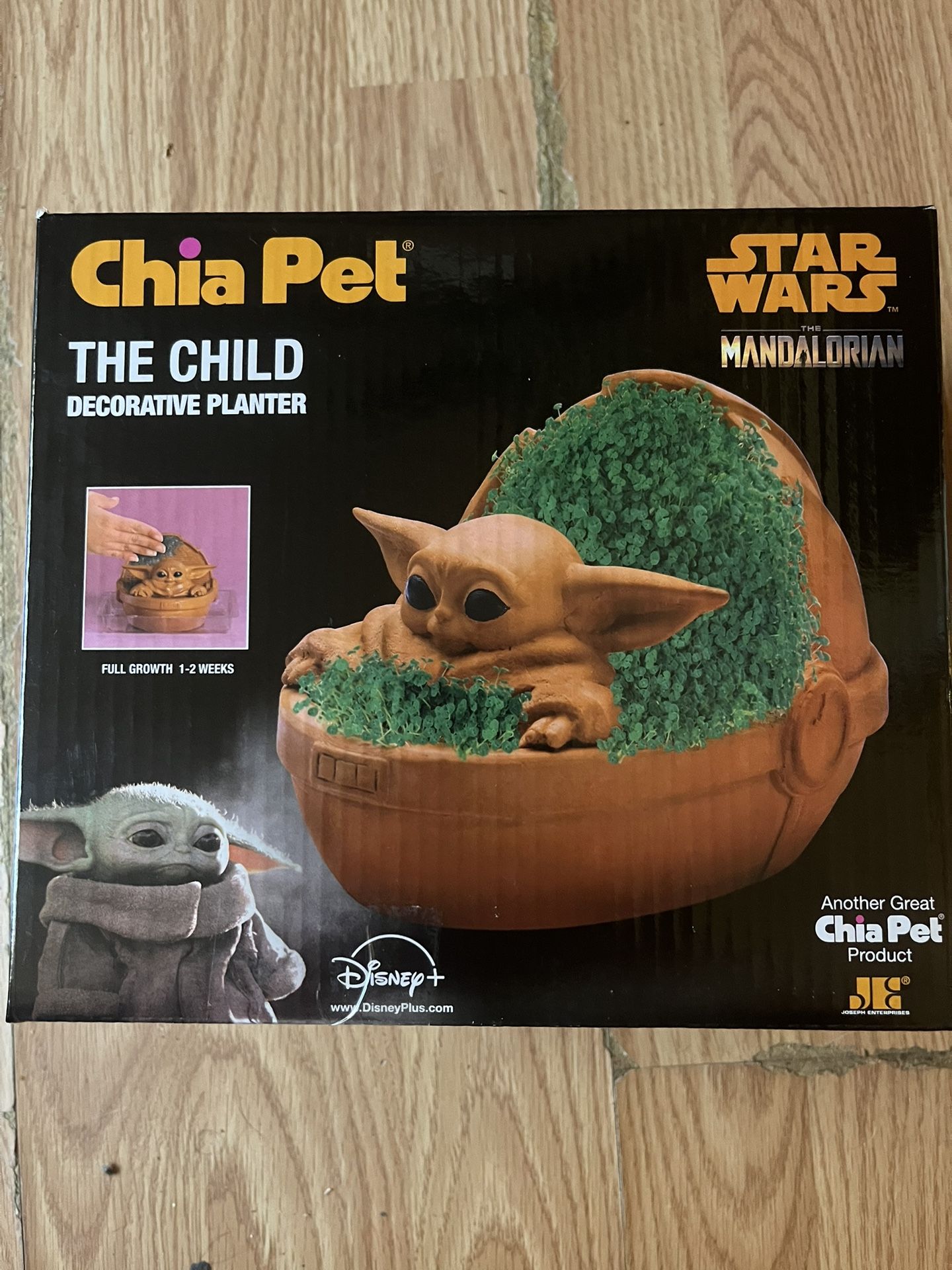 Star Wars The Child Chia Pet