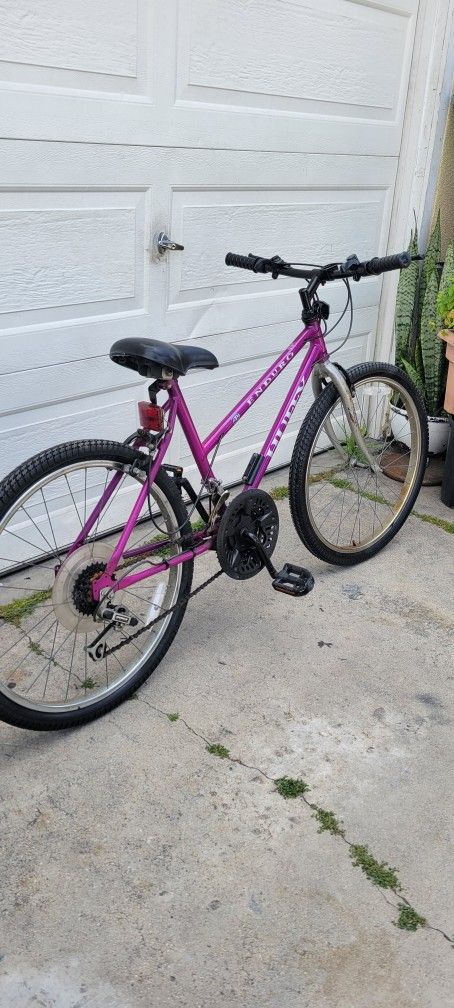 Mountain Bike$55