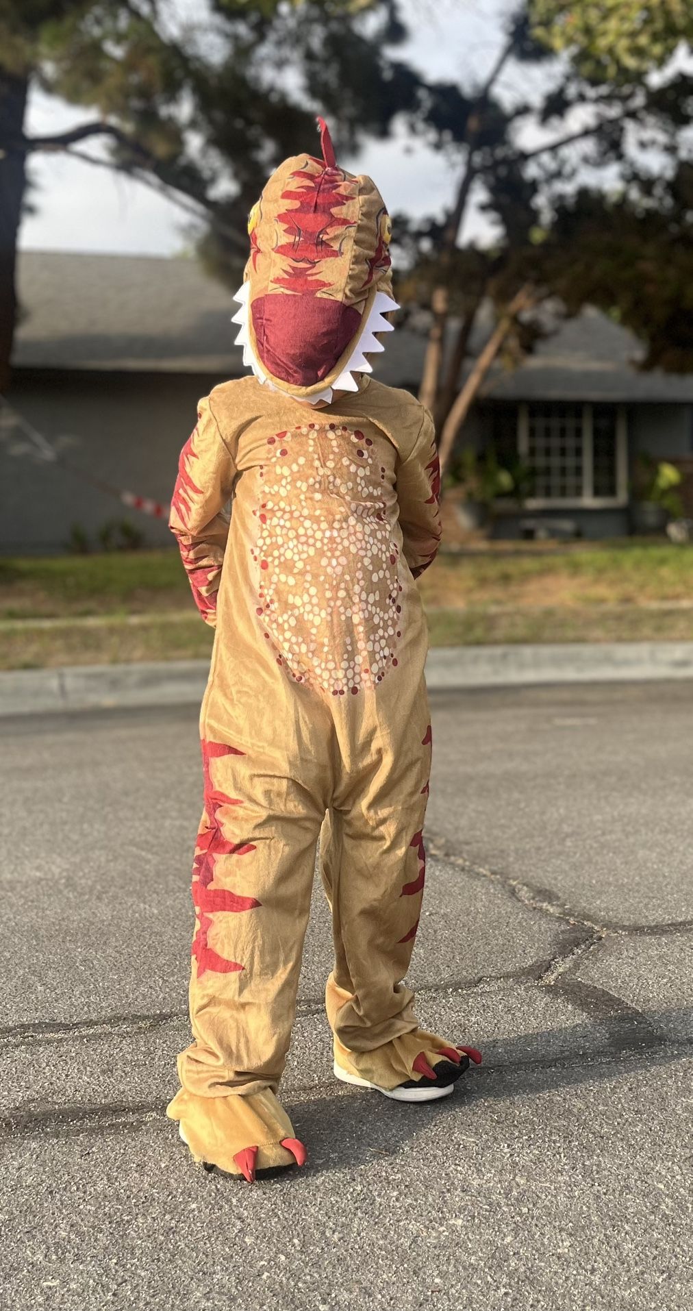 Dinosaurio Costume