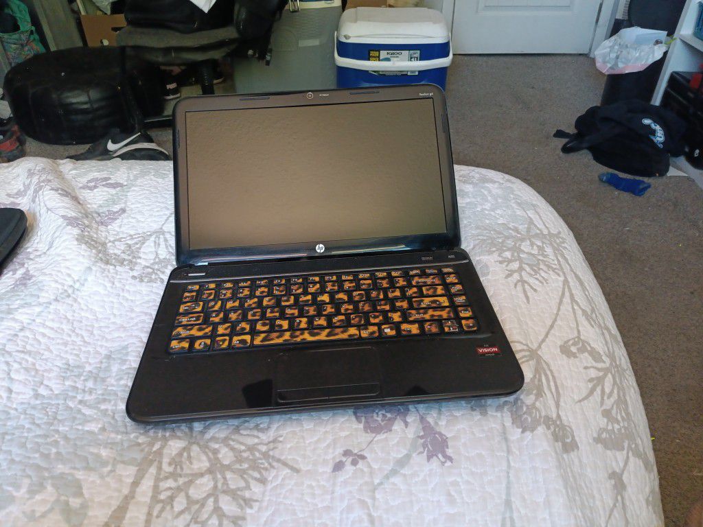 2013 HP Laptop 