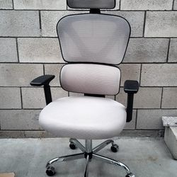 Kerdom Executive Office/Desk Chair 