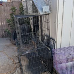 Jaulas Diferentes Precios Grandes Y Pequeñas 