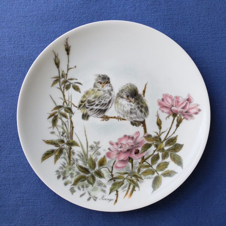 Bareuther Waldsassen Porcelain Bird Plate