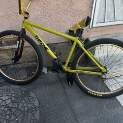 Throne 29’ Inch Bike
