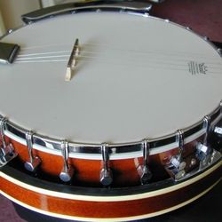 5th stiring Pro Remo HD Mahogany Bluegrass Banjo