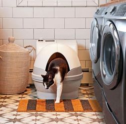 Genie AI Automated Cat Litter BoxCat