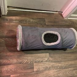 Cat Tunnel 